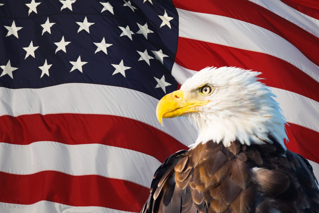 bald eagle superimposed on the american flag